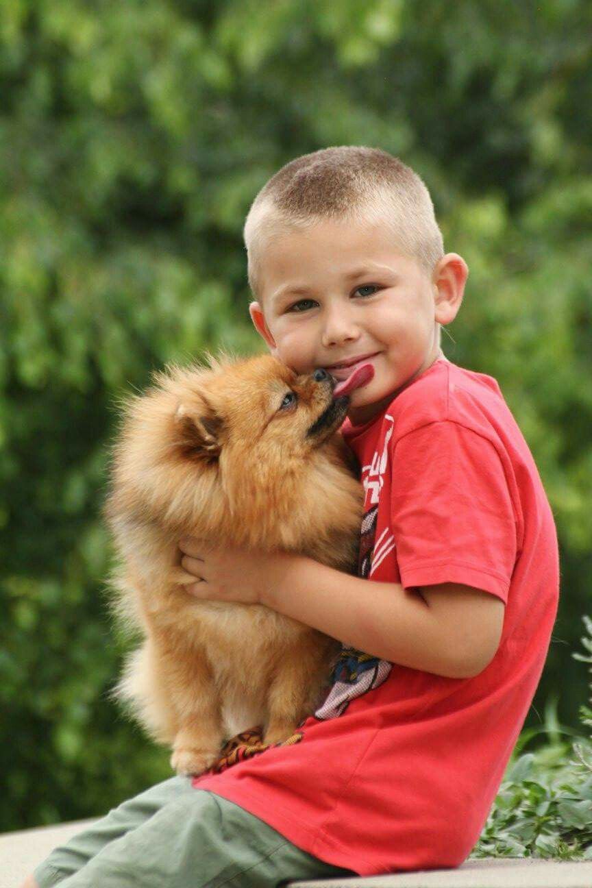Cucciolo Pomerania Cuccioli che Passione consegna Zurigo Svizzera