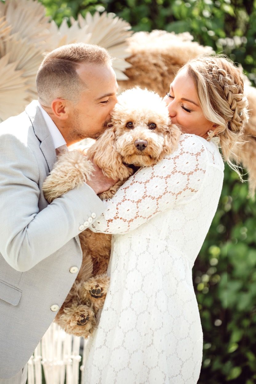 Cucciolo Barboncino Toy Cuccioli che Passione consegna Parigi